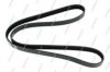 SUZUK 9514179JA0000 V-Ribbed Belts